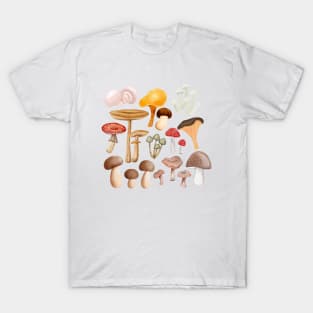 Mushroom multy kind of mushrooms T-Shirt